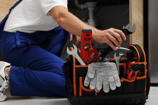Best Local Plumber Services  in Suitland, MD
